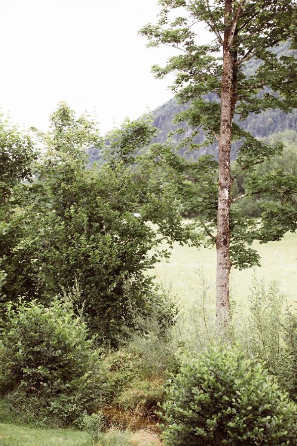 Bachbett - Modernes Gaestehaus Im Salzkammergut Bad Ischl Exteriör bild
